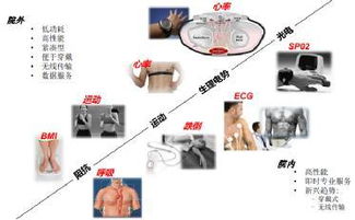 扼制權健亂象 依靠創(chuàng)新醫(yī)療產品填補市場需求空白