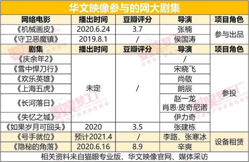 6億保底《李娜傳》背后 起底華文映像的急速進(jìn)階史