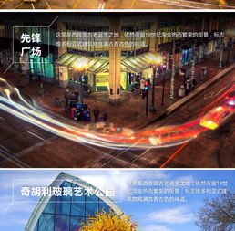 西雅圖一日巡禮 從工業心臟到文藝地標，感受翡翠之城的多元魅力